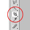 crop tool